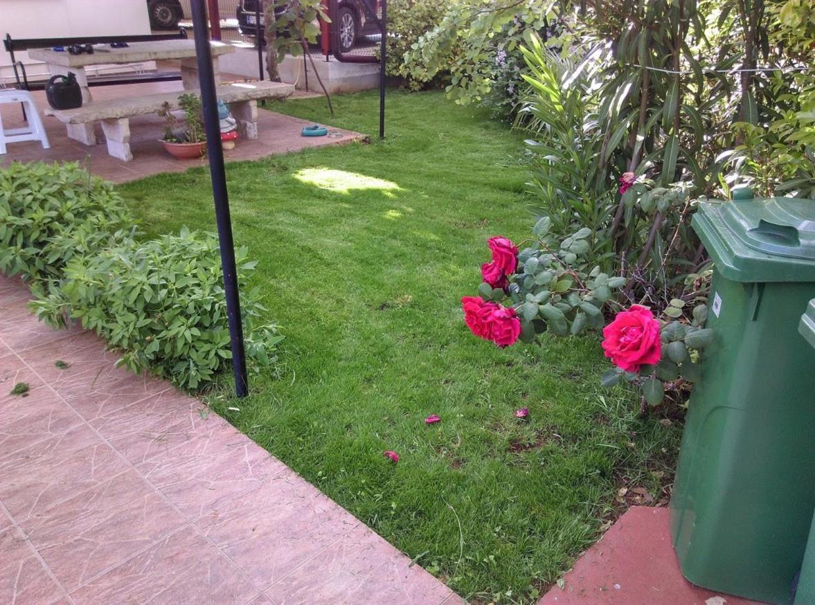 Apartment Casa Del Sol Novigrad  Exterior photo
